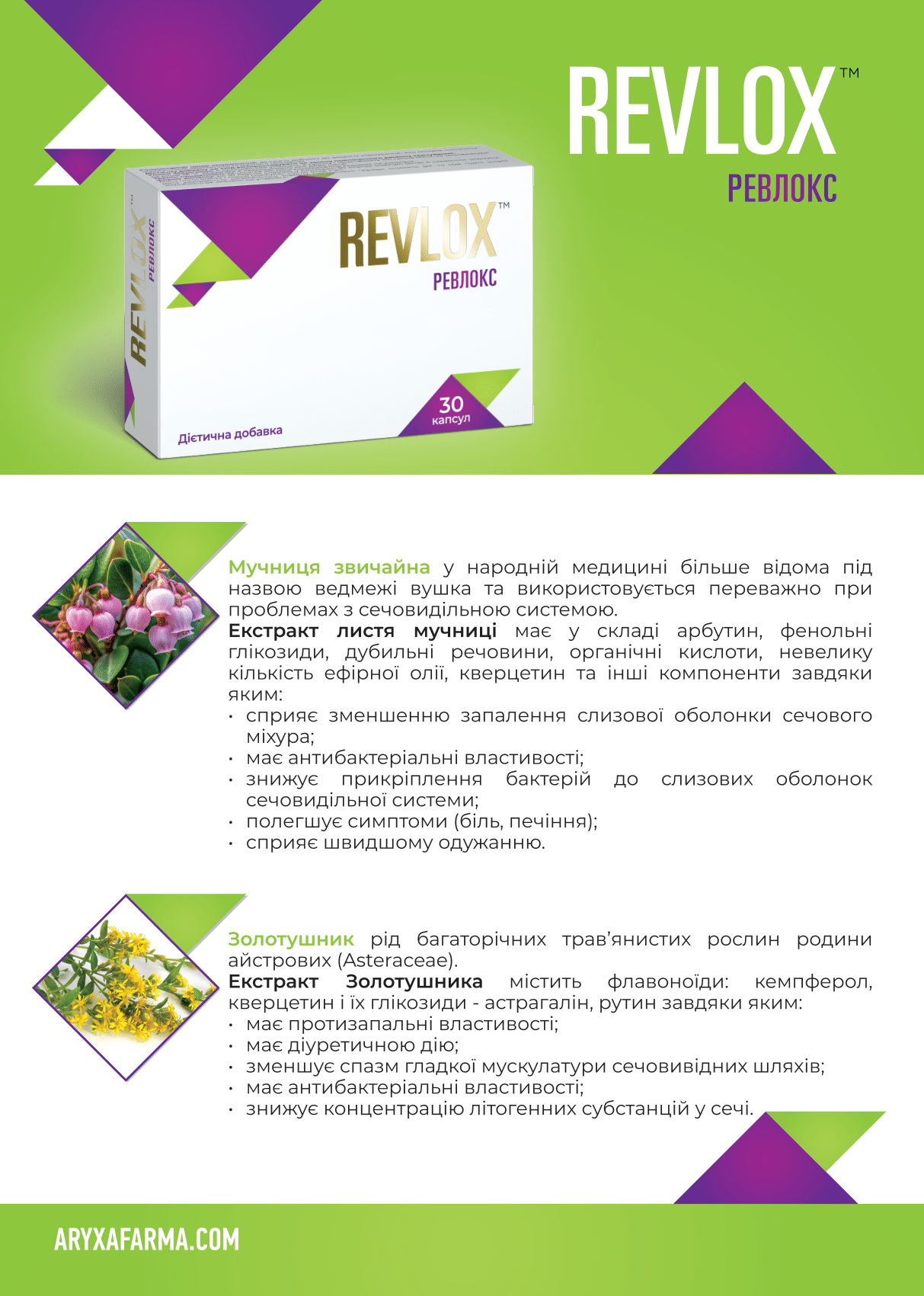 Revlox_Leaflet_A5_bleeds_3mm_28.05.2025_Curves-1