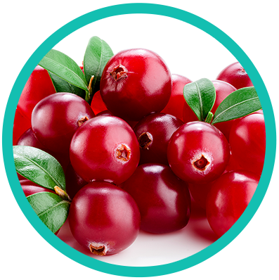 Oxycoccus_Hill_circle